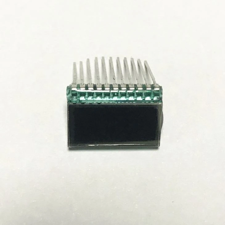 Very Small Black Segment LCD