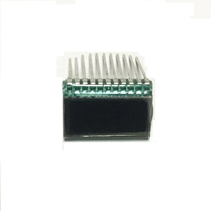 Very Small Black Segment LCD